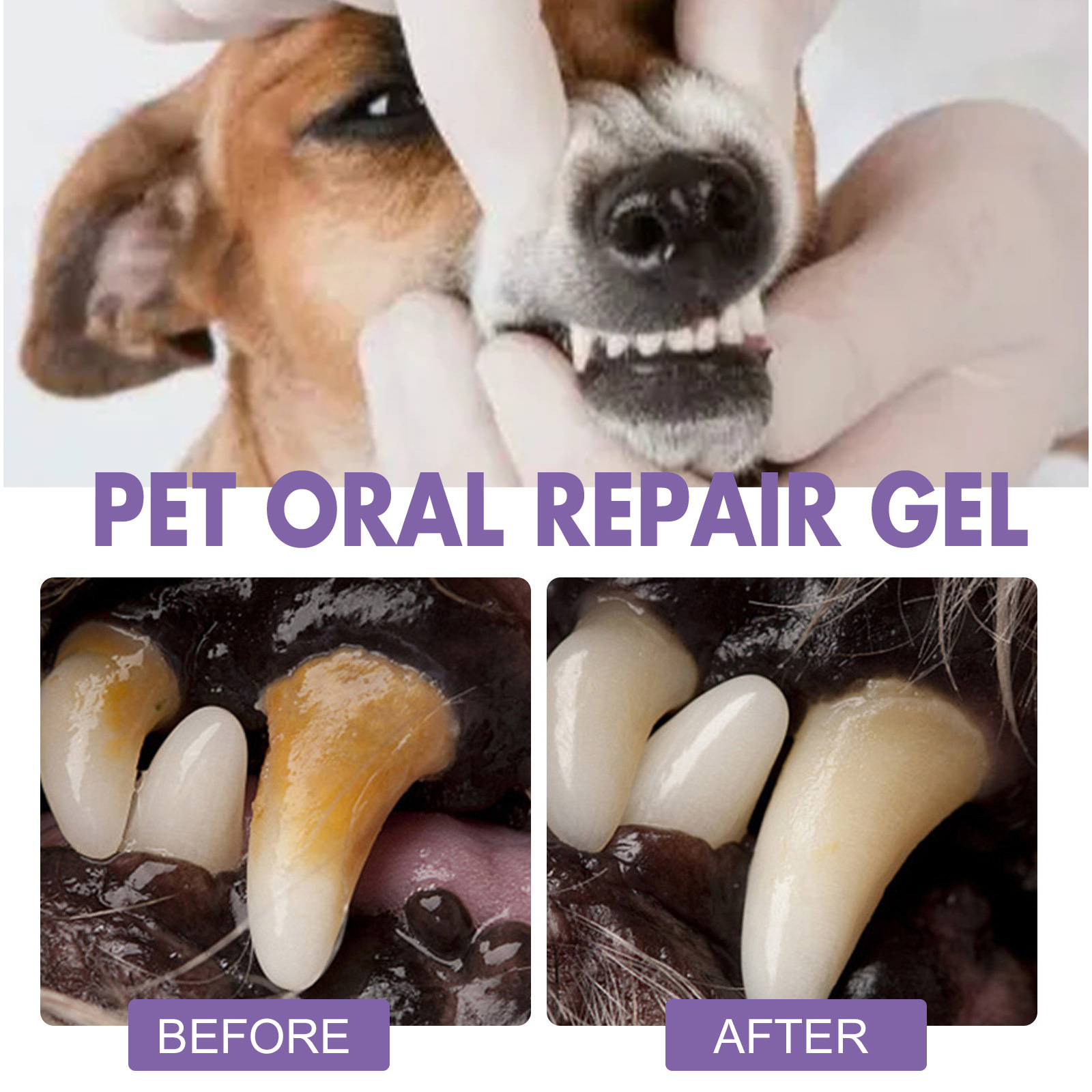 الحيوانات الأليفة الفم إصلاح ه - مراجعة Teeth Whitening Paste وسعره